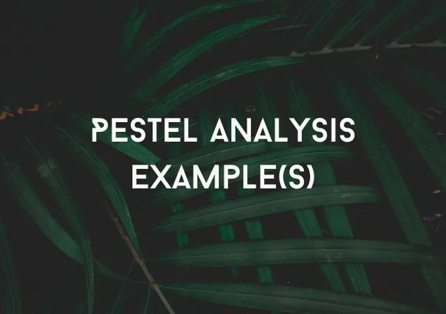 PESTEL Analysis Examples