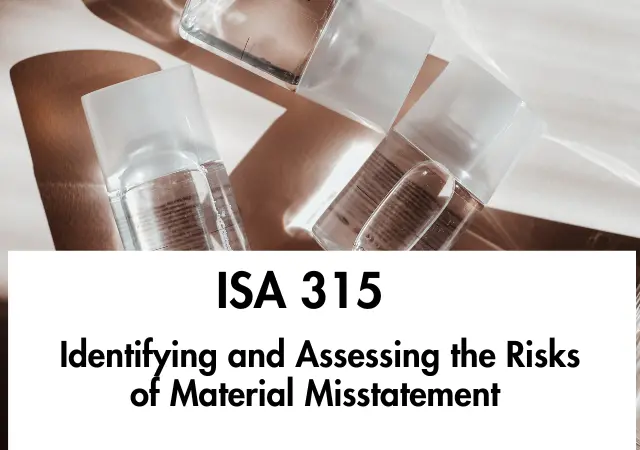 ISA 315