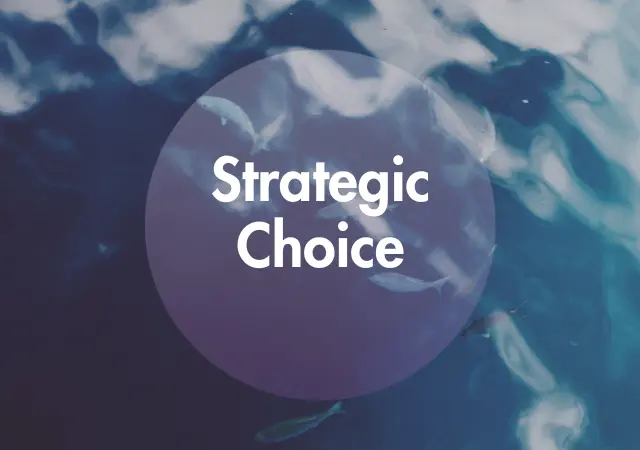 Strategic Choice in Strategic Management