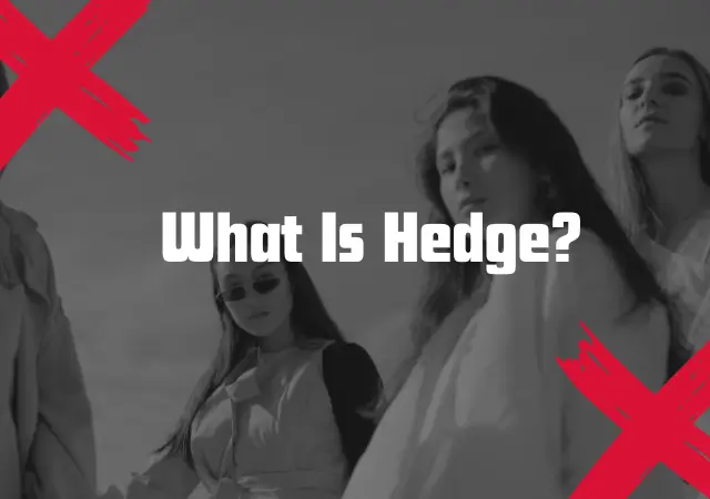 What Is Hedge?